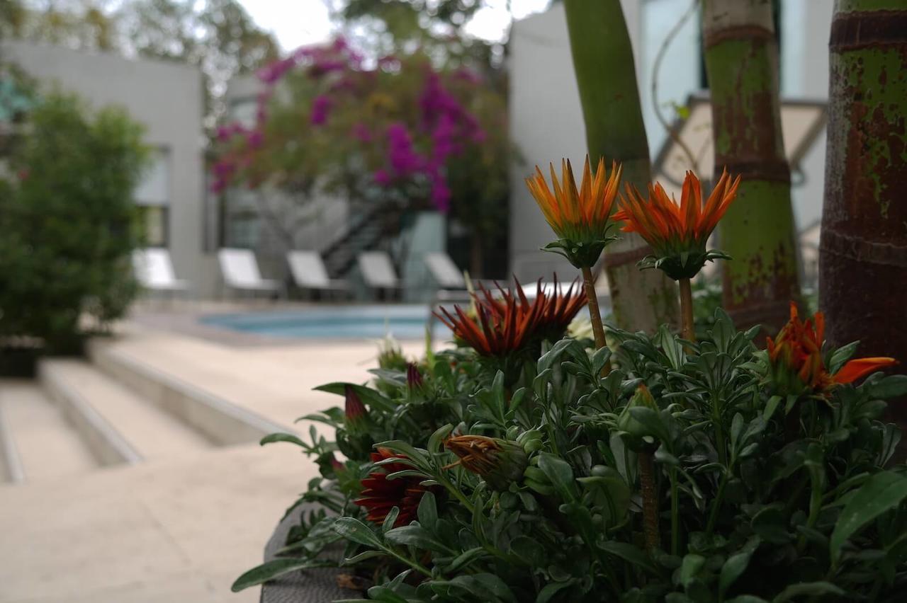 Casa Tepoztlan Bed and Breakfast Εξωτερικό φωτογραφία